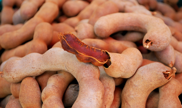 Tamarind Export