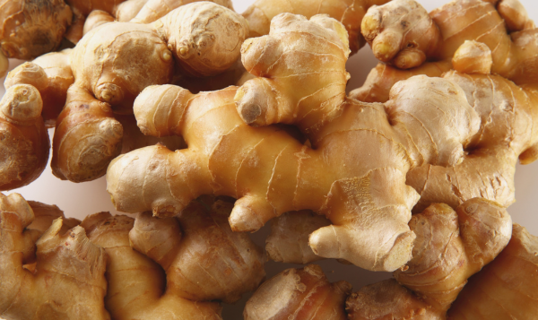 Ginger Export